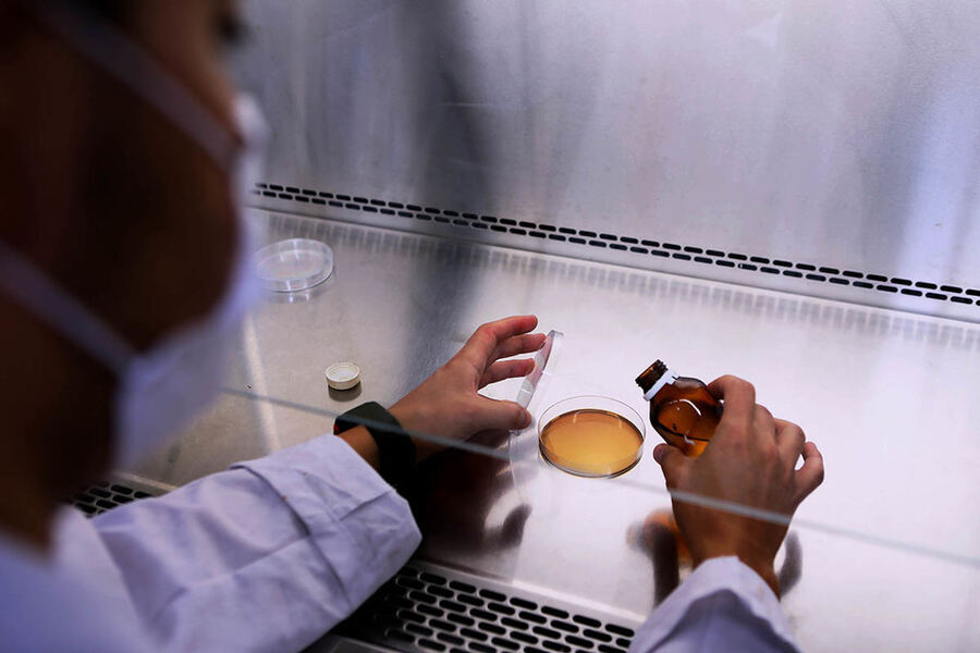 Investigadores de la UNLP logran transformar los residuos de la soja en productos de alto valor nutricional