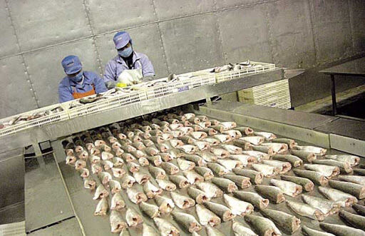 La Costa: Impulsan campaña para fomentar el consumo de pescados y mariscos de la zona