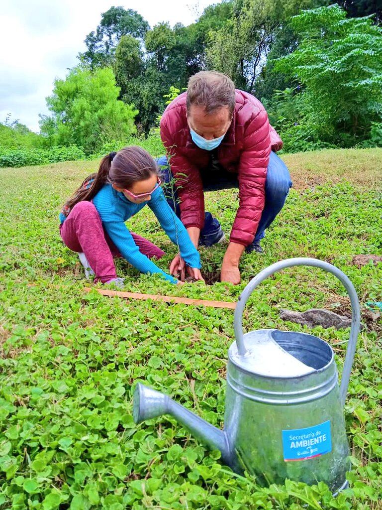 El programa de forestación urbana ya tiene las inscripciones abiertas