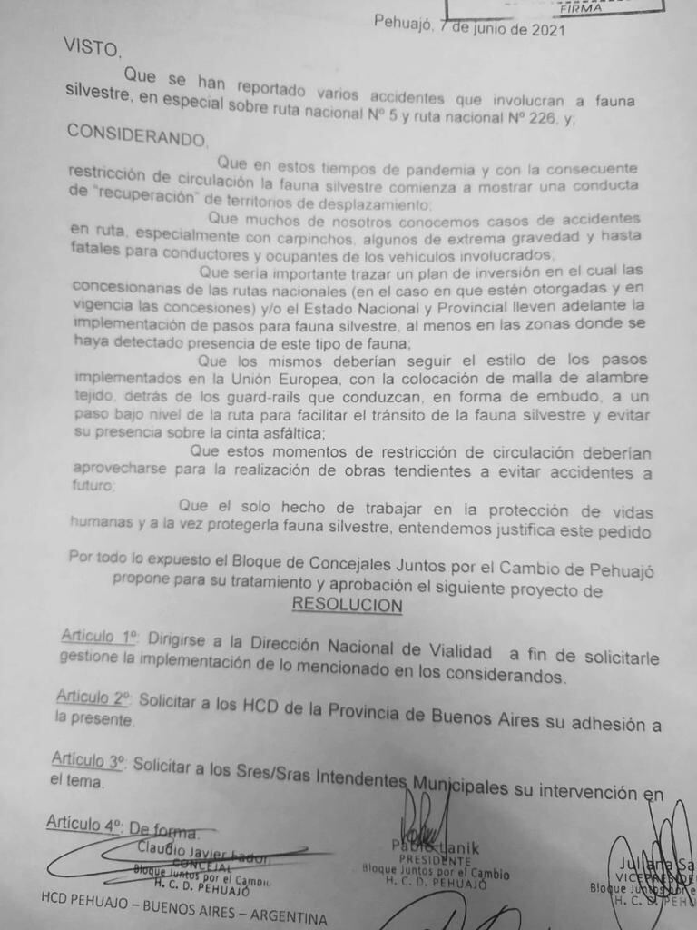 Pehuajó: Juntos por el Cambio pide pasos bajo a nivel en rutas para carpinchos