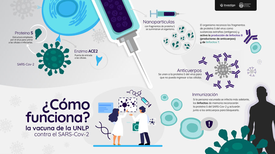 UNLP: Avanzan en el desarrollo de la vacuna Argenvac221 contra el SARS-CoV-2