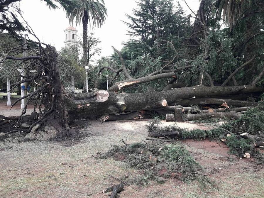 El temporal también afectó a las ciudades del interior de la provincia de Buenos Aires