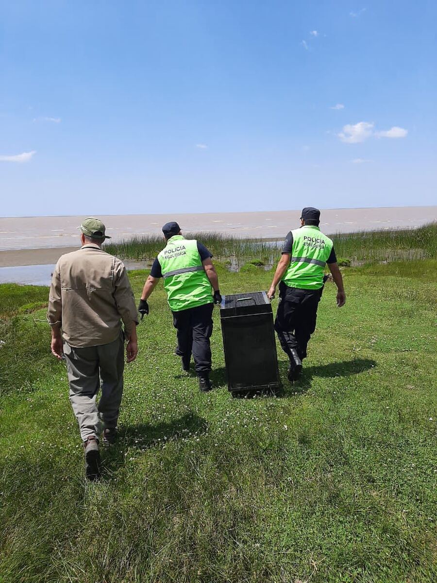 Un lobo Marino perdido en las costas Berisso fue liberado por la Policía Ecológica en Magdalena