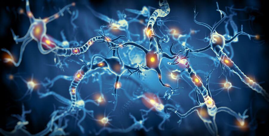 Un grupo de investigadores utilizará una red de neuronas artificiales para estudiar el Autismo