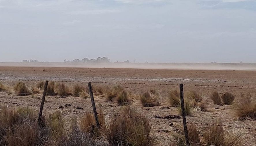Patagones: Por la sequía declaran en Emergencia y Desastre Agropecuario a la región