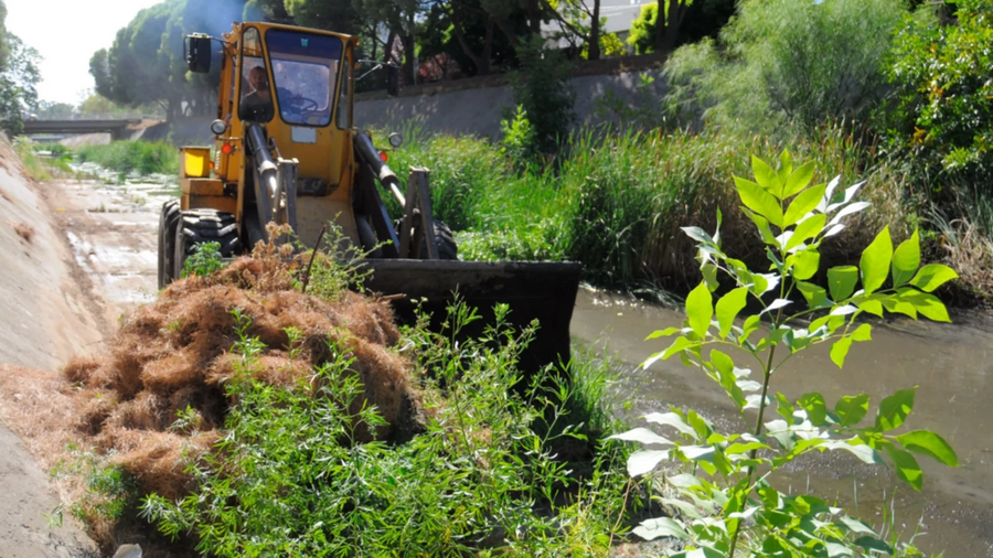 Bahía Blanca: Se puso en marcha la limpieza del canal Maldonado