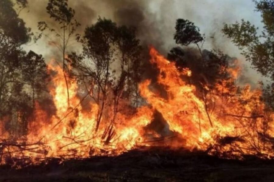 La Plata: El humo por los incendios en Corrientes podría llegar a la ciudad