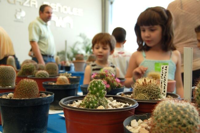 Saladillo: Llega la quinta edición de la "Expo Cactus" en Cazón