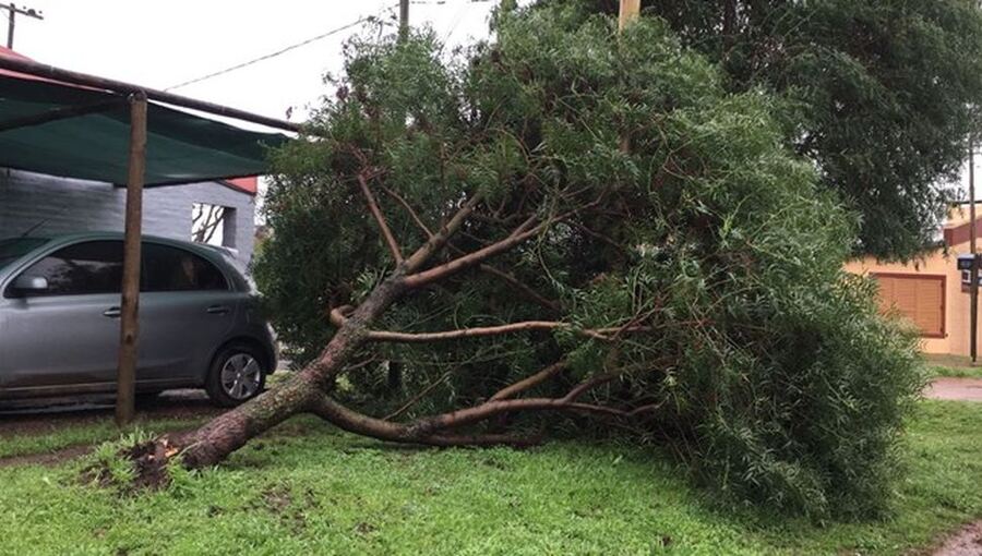 Bragado: La ciudad recibirá 18 millones de pesos para ayudar a los afectados por las tormentas