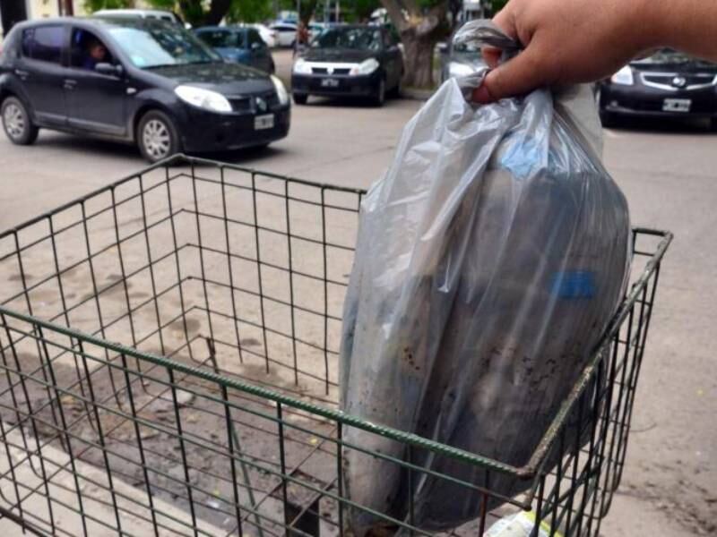 Berisso: Informaron el funcionamiento de la recolección de residuos en los feriados por Semana Santa