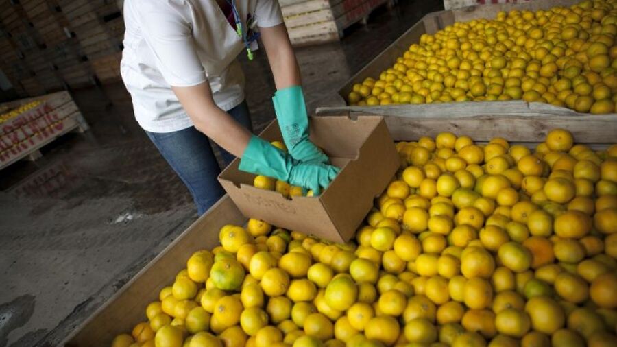 Los precios de los agroalimentos del productor al consumidor se multiplicaron por 3,4 veces en febrero