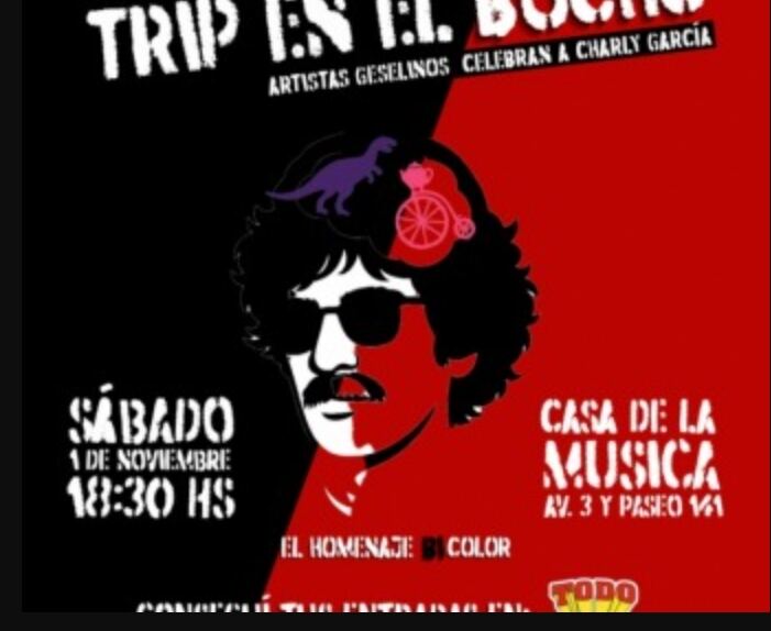 Villa Gesell: La ciudad será escenario del festival "Trip en el Bocho"