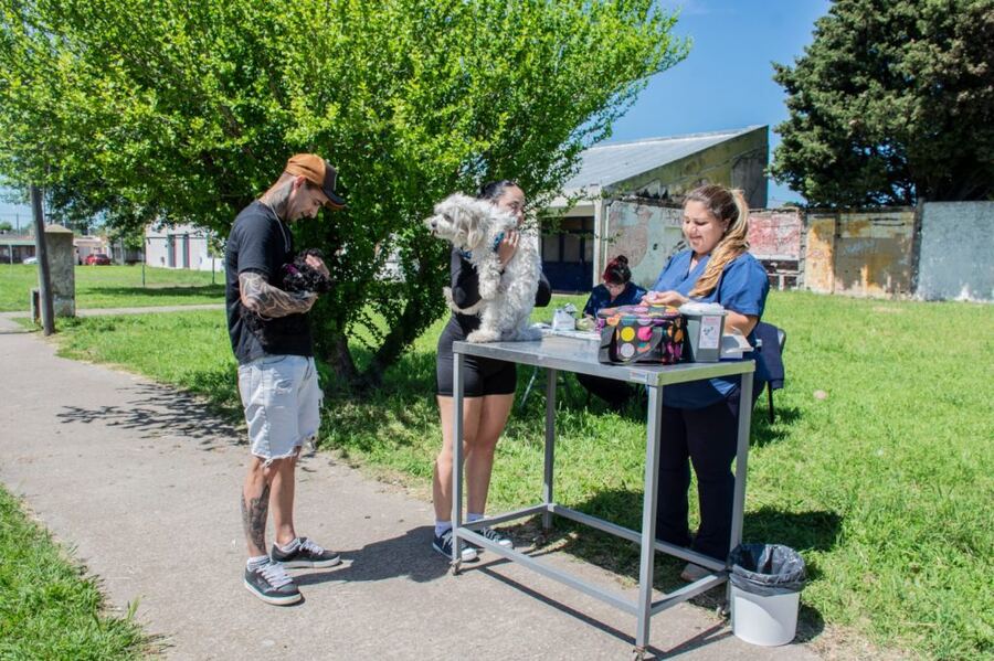 Olavarría: Continúa la campaña anual de Vacunación Antirrábica veterinaria en todo el Partido