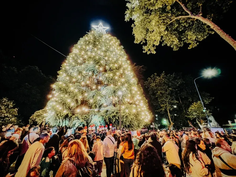 Mar del Plata: Se enciende el Árbol Navideño en Plaza San Martín