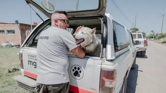 Mar del Plata: La Comuna rescató dos perros que se encontraban en estado de abandono