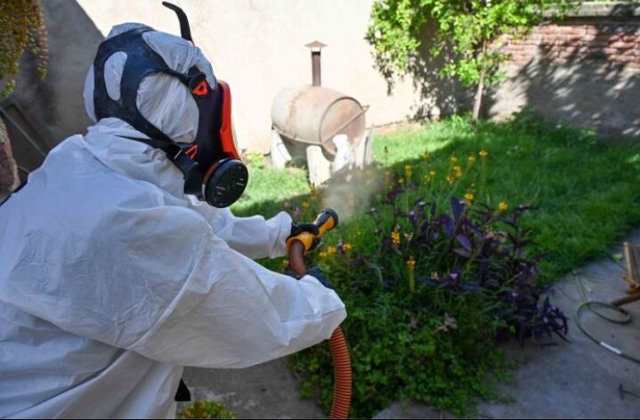 Bahía Blanca: Realizarán tareas de prevención de dengue en Villa Delfina