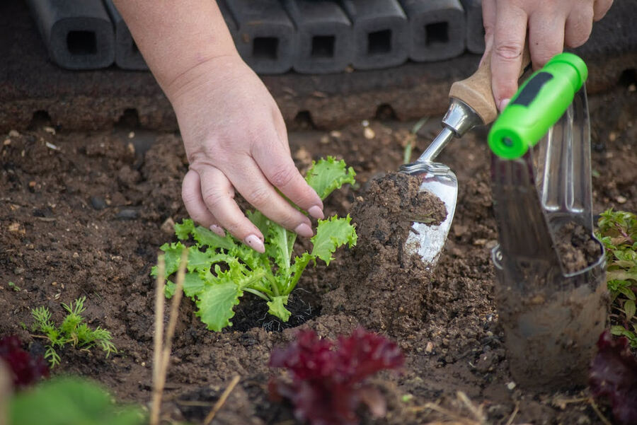 La Plata: Capacitación en huerta y recorrido guiado en el Parque Ecológico Municipal