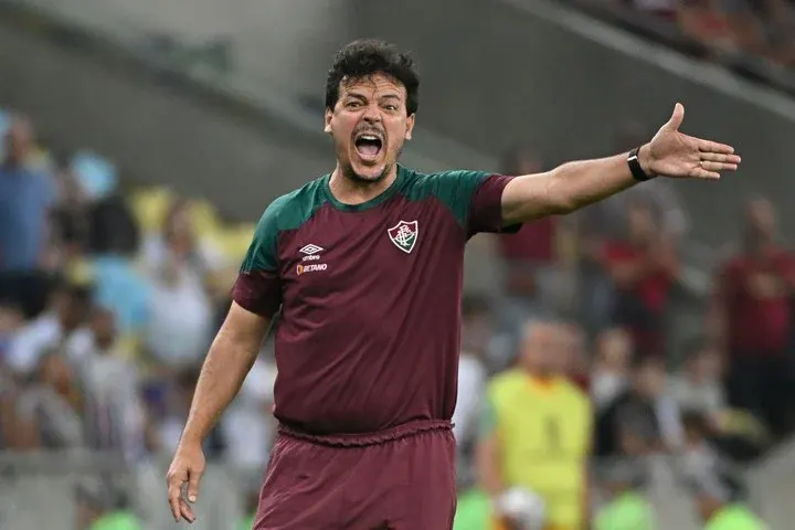 Inédita decisión en la Selección de Brasil: Diniz asume como DT hasta la llegada de Ancelotti, pero sigue en Fluminense